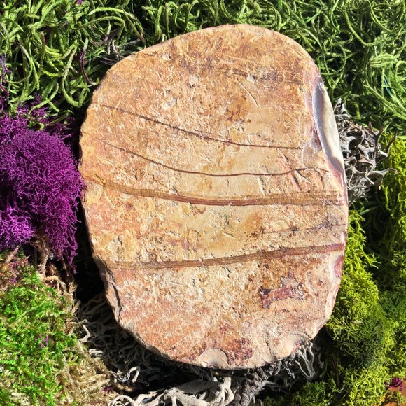 Polychrome Jasper Slice crystal gemstone - Picture 2 of 4